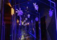 上海聚星派对招聘迎宾,(可以日结工资)