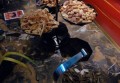 广告蓝图招聘文案（创意广告策划岗位招募：绘制品牌未来）