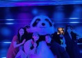 上海高档夜总会招聘商务迎宾,夜场上班适合穿黑色衣服吗？
