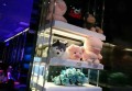 上海哪里夜总会招聘前台迎宾,(夜场票是什么？)