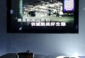上海欢歌天天量贩式KTV(高东店)招聘前台迎宾,(不挑人）