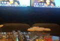 上海樽悦汇VIP ROYAL CLUB招聘前台迎宾,(免台票)