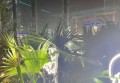 上海闵行区浦锦街道附近夜场招聘商务礼仪,可以兼全职