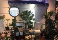 上海金山区漕泾镇附近夜场招聘包厢服务员,过年放假吗？
